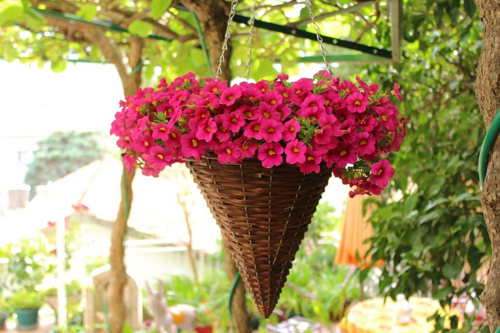 Guest House Tomanovic Herceg Novi Ngoại thất bức ảnh